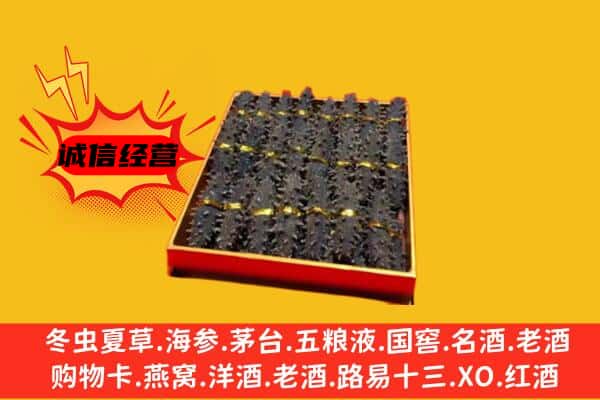 新河县回收海参